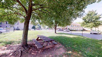 Outdoor Picnic Table Property Image